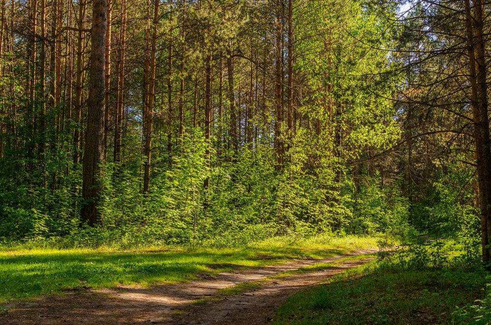 Photograph by Артём Шестаков