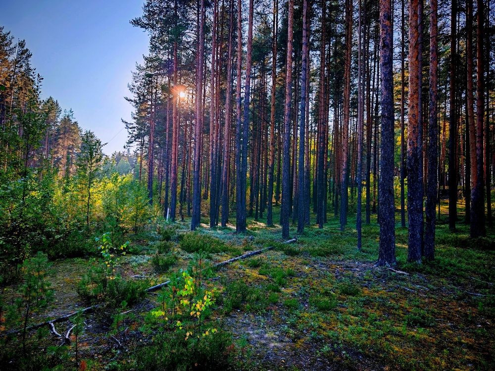 Photograph by Юлия Иванова