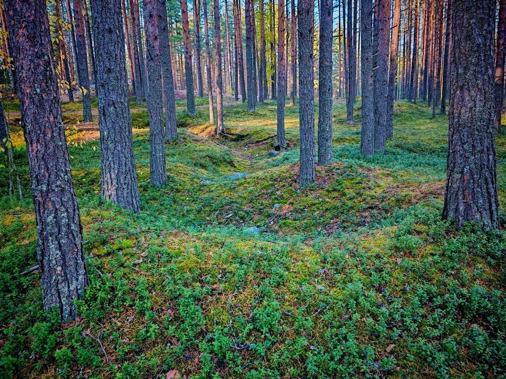 Photograph by Юлия Иванова