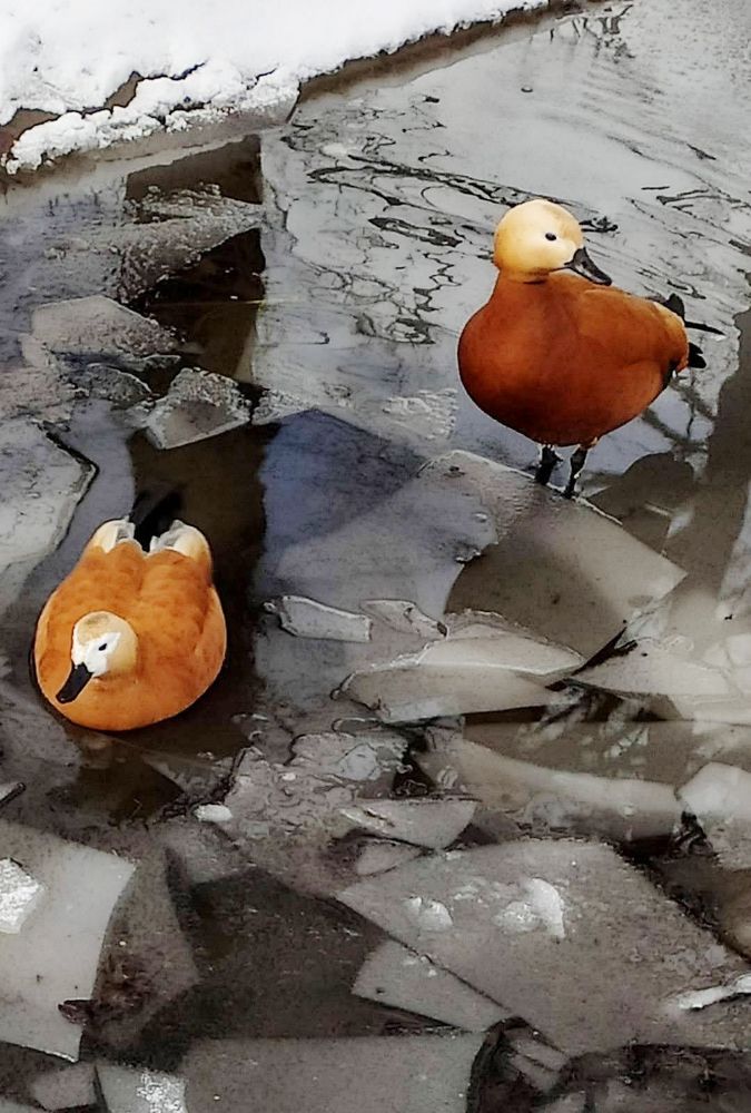 Photograph by Анна Андреевна