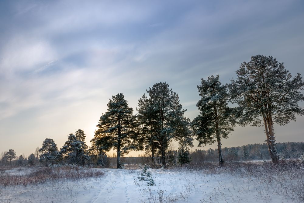 Photograph by Андрей Овсов