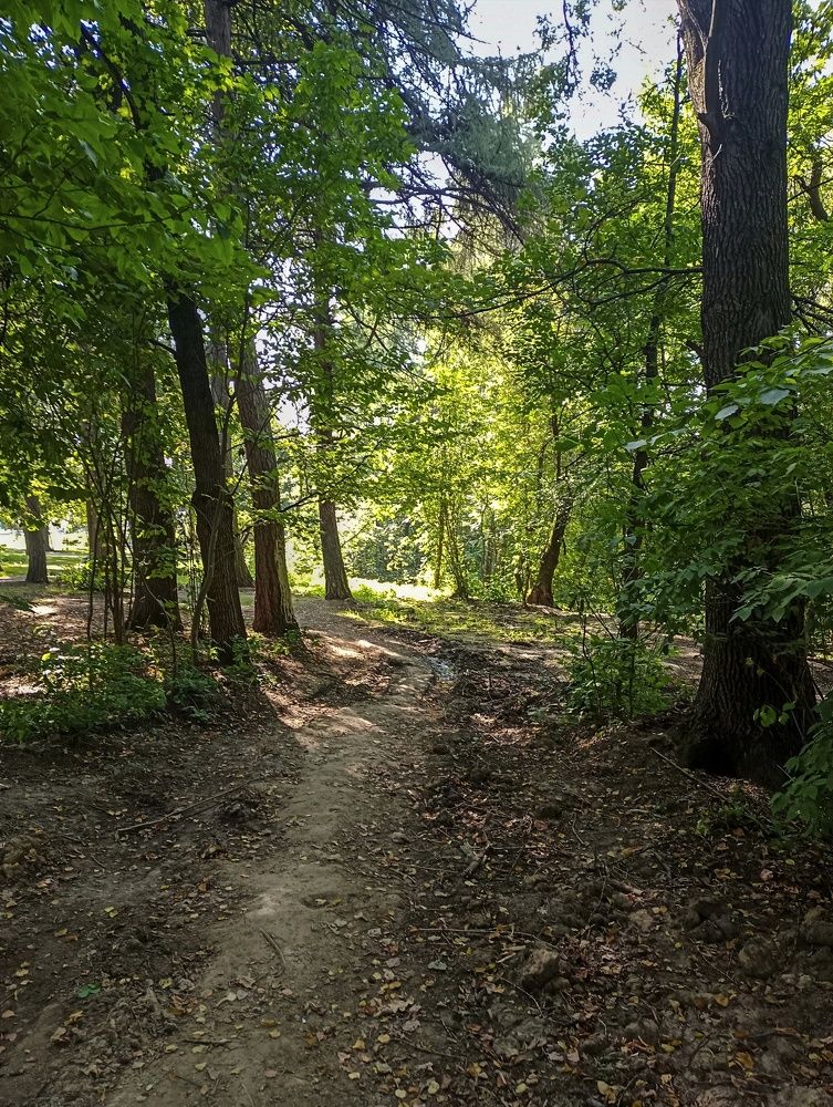 Photograph by Sergey Kurkov-Tarkovsky