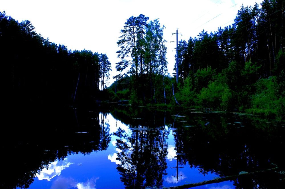 Photograph by Владимир Ким