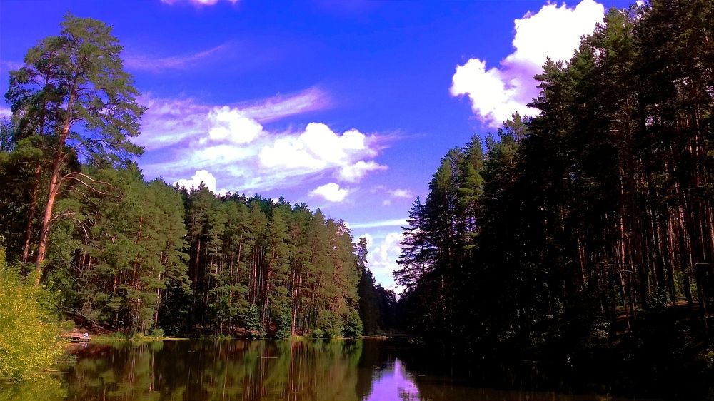 Photograph by Владимир Ким