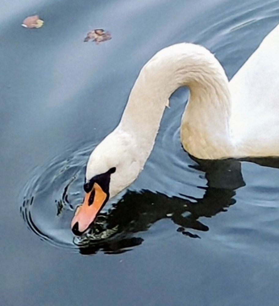 Photograph by Анна Андреевна