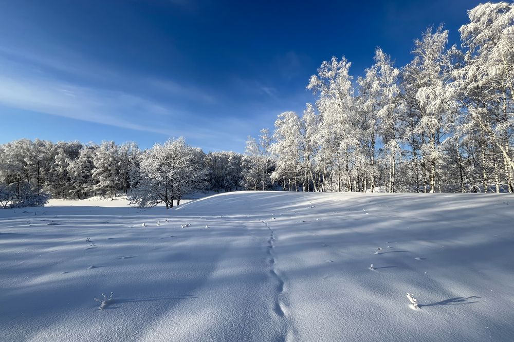 Photograph by Сергей Феофанов