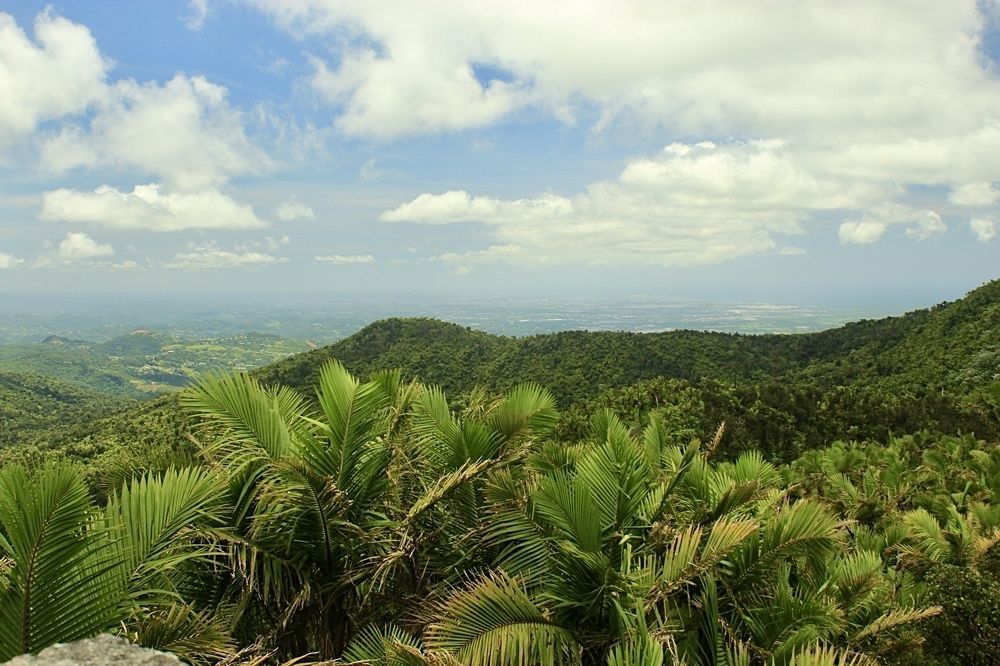 El Yunque National Forest