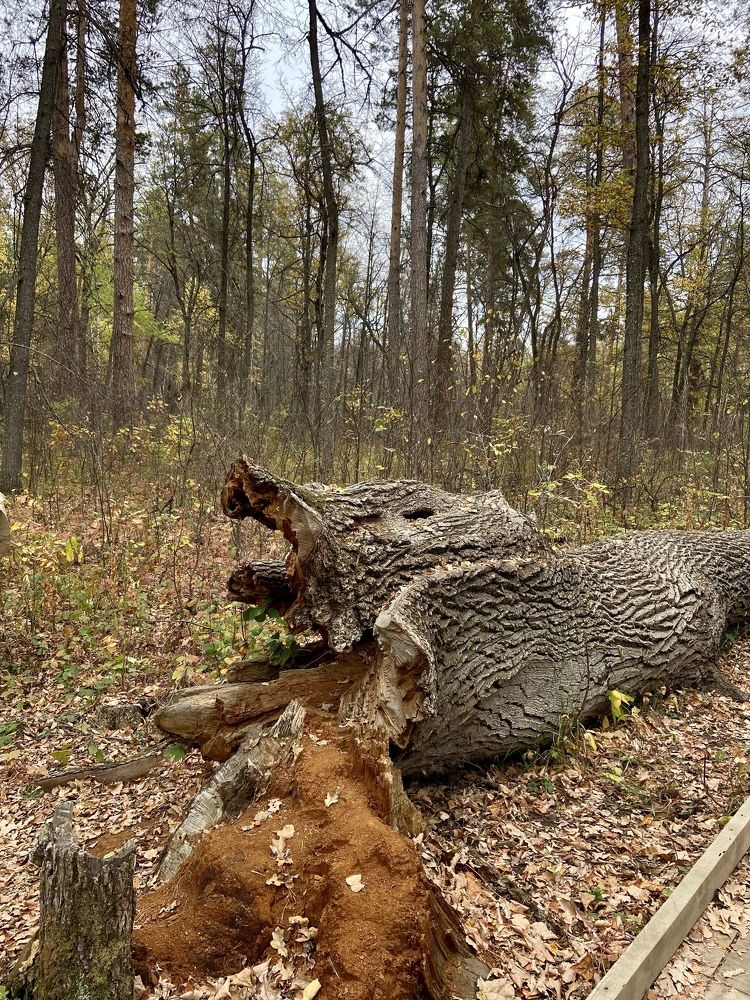 Photograph by Наталья Душакова