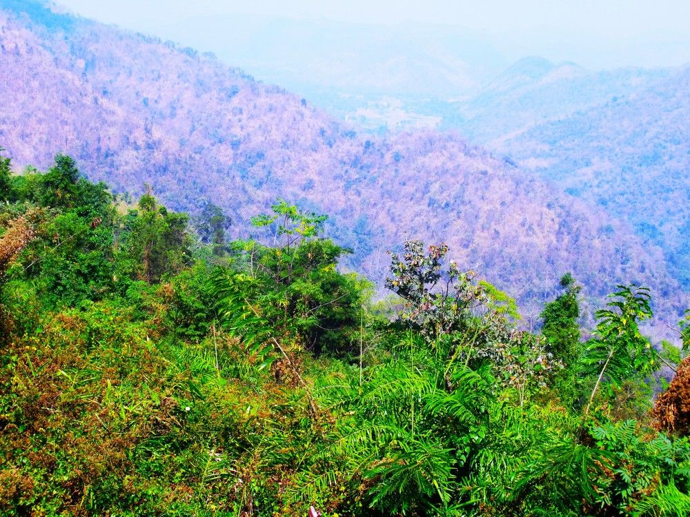 Photograph by Leonid Yarmolinsky