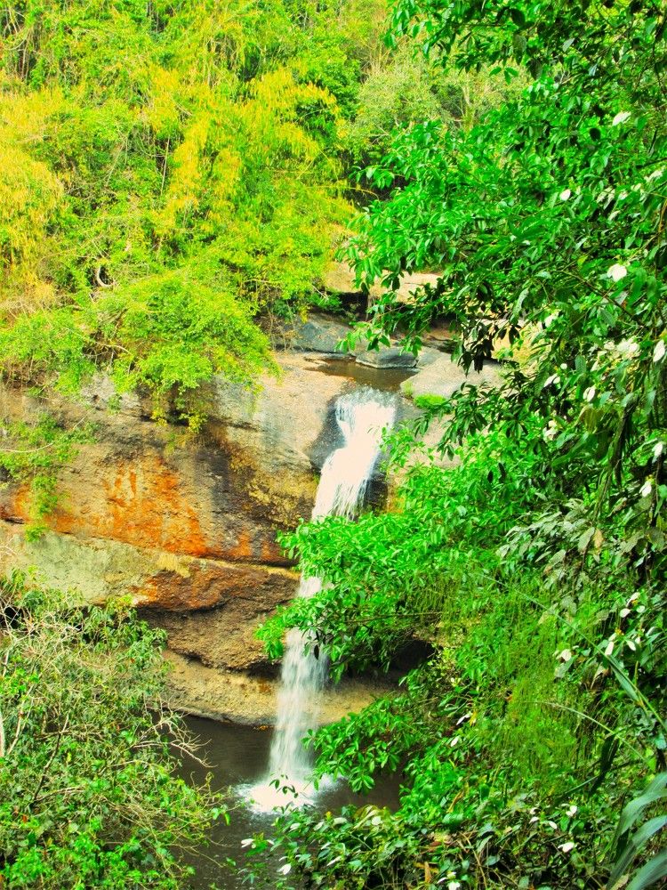 Photograph by Leonid Yarmolinsky