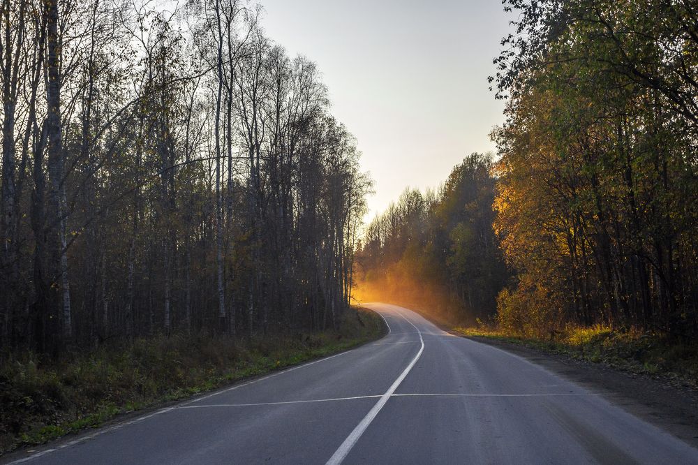 Photograph by Алексей Ромадов