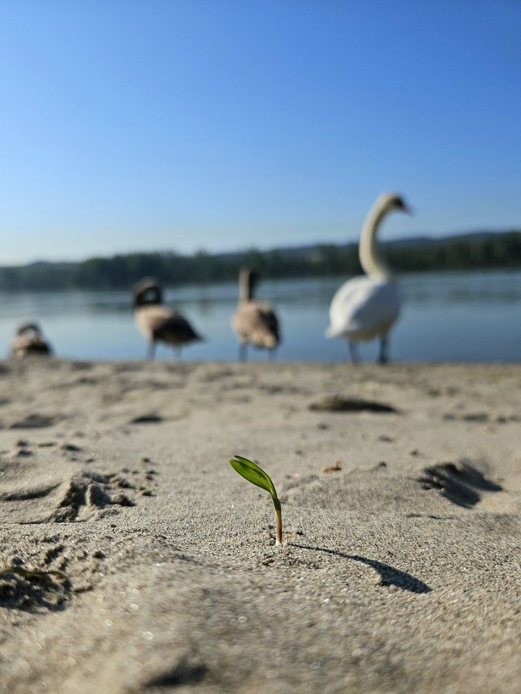 Photograph by Ольга
