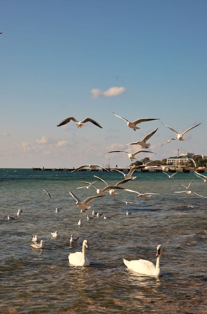 Photograph by Алексей Поляков