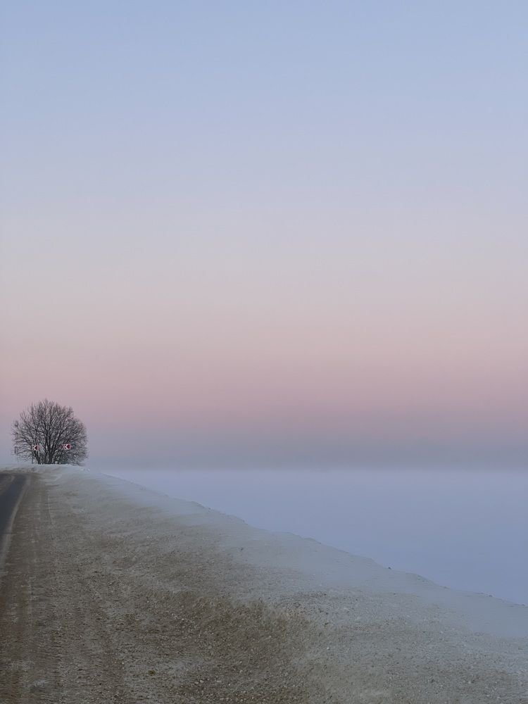 Photograph by Ольга Меладзе