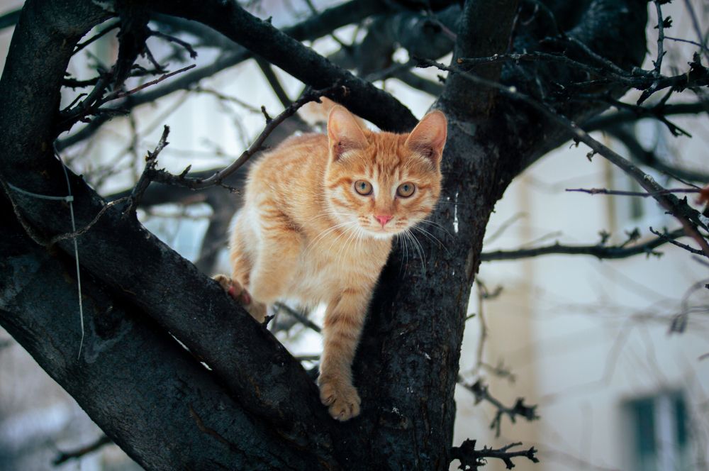 Photograph by Кристина Гоглева