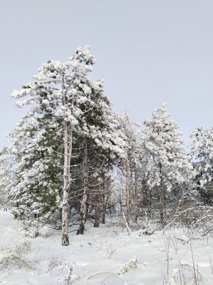 Photograph by Ольга Чернова