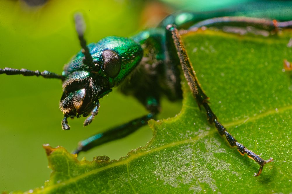 Photograph by Альберт Загиров