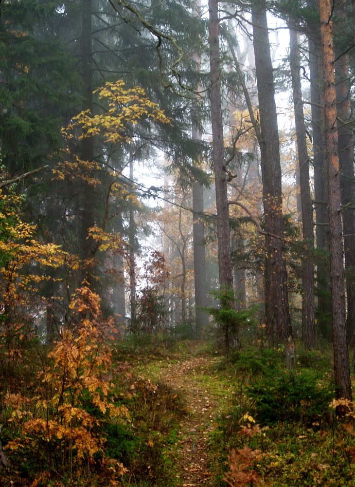 Photograph by Риганов Борис