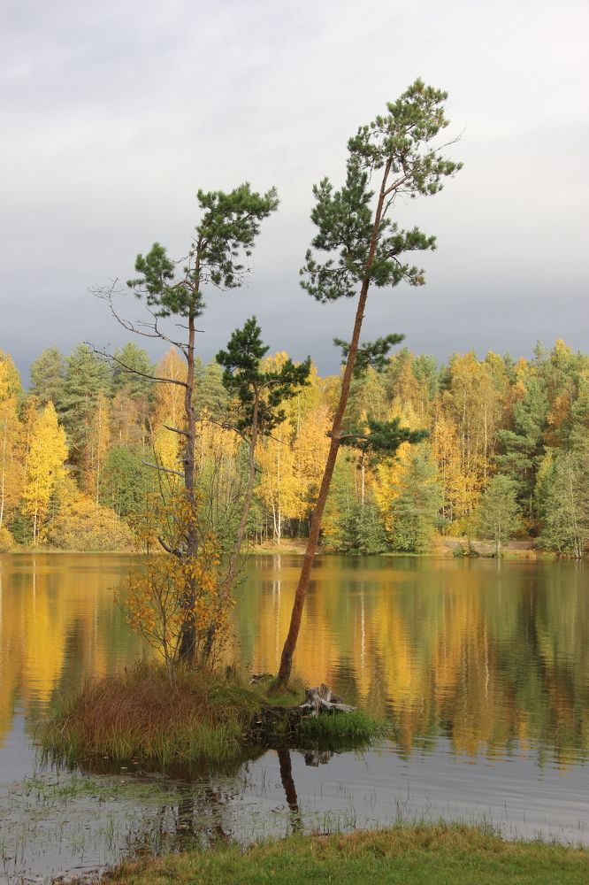 Photograph by Nikita Zorin