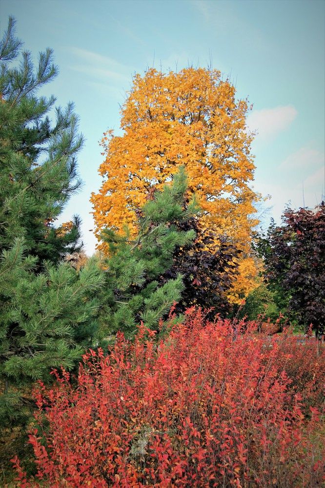 Photograph by Nikita Zorin