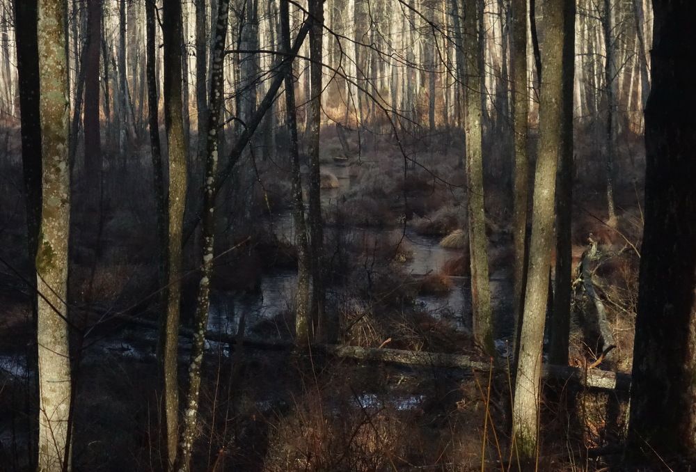 Фотография автора ТАТЬЯНА ЗАХАРОВА