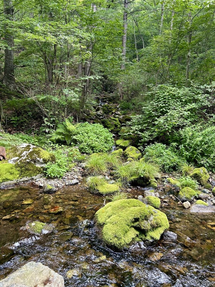 Photograph by Елена Власова