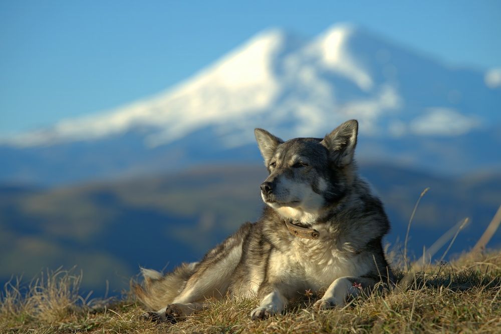 Photograph by Павел Владимирович