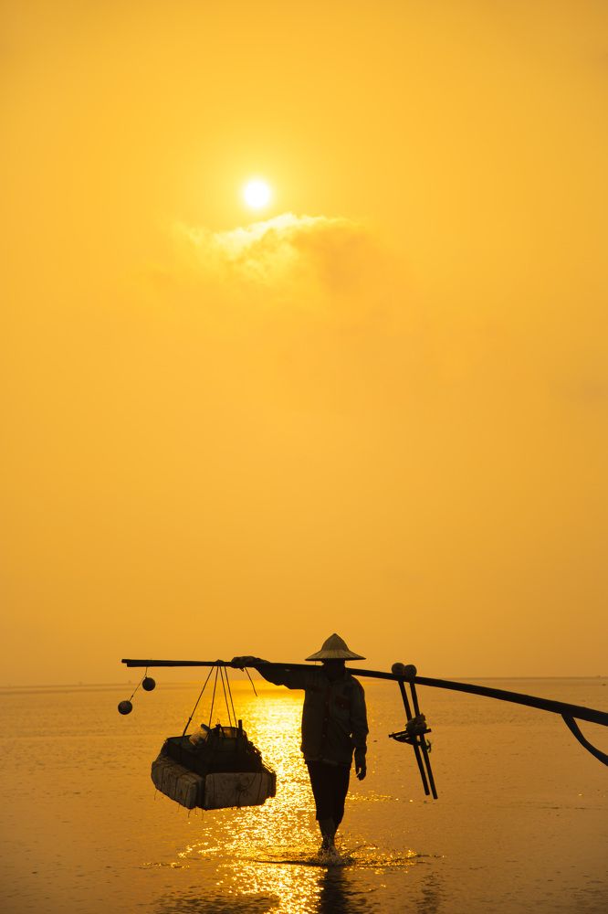 Photograph by THUY VU THANH