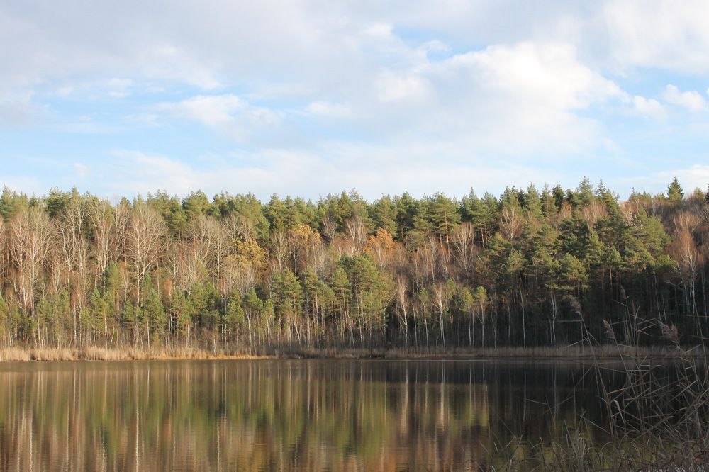 Photograph by Александр Гришин