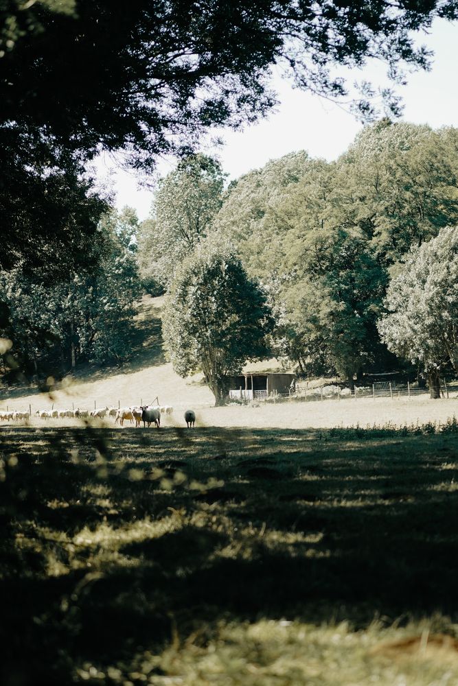 Фотография автора Valeriia Zhadan