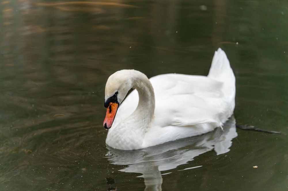 Photograph by Павел Владимирович