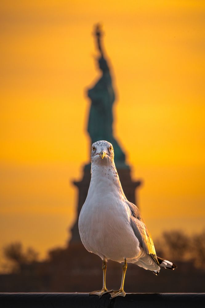 Photograph by Jayakumar MN