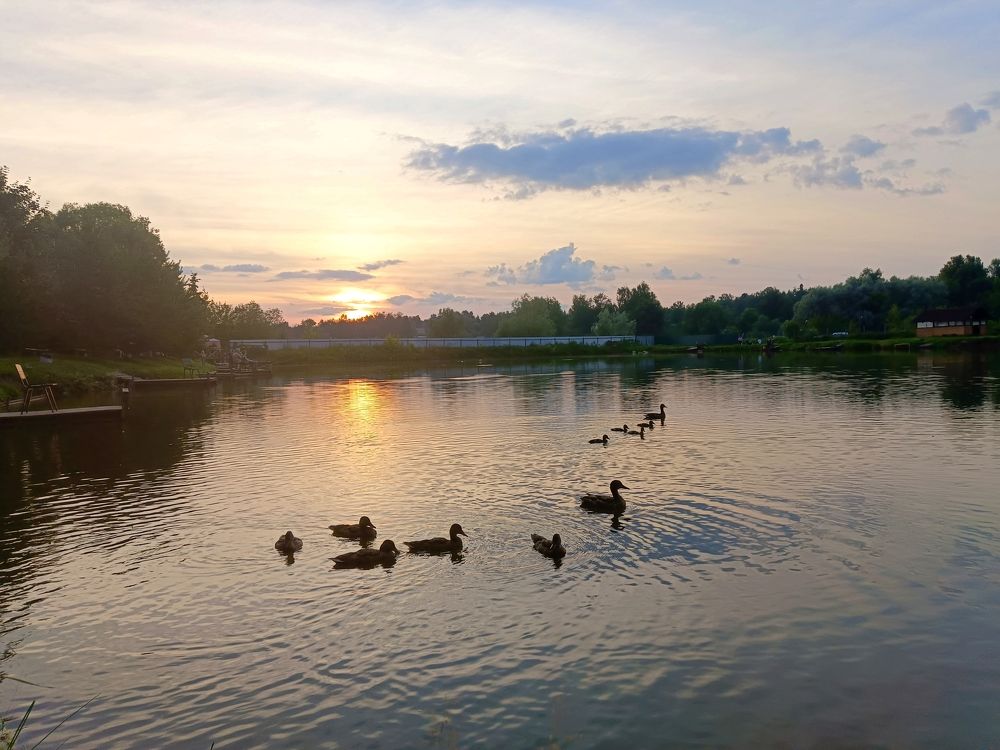 Фотография автора Андрей Занкович