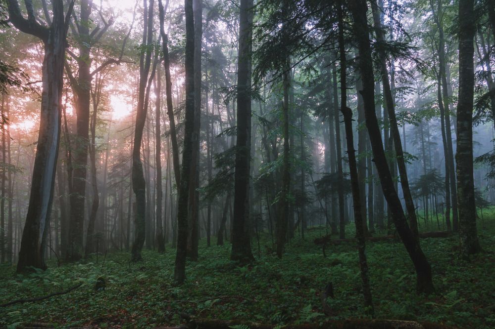 Photograph by Шишкалов Константин