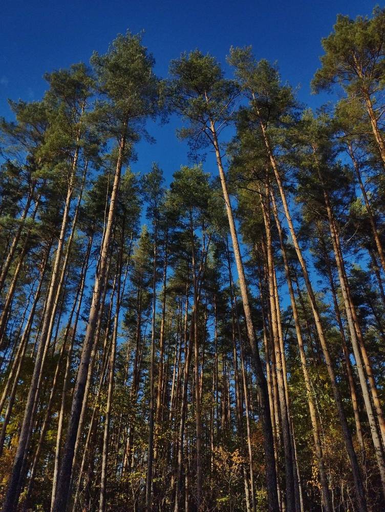 Photograph by Ия Дирко