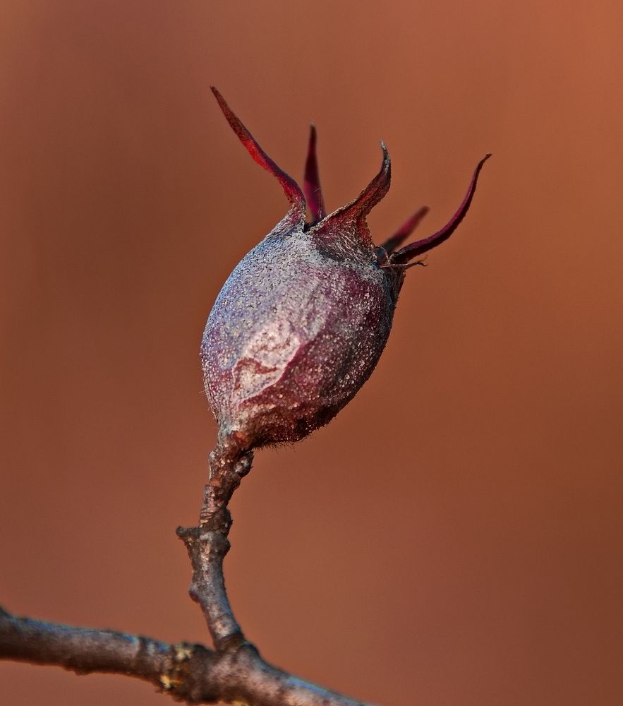 Photograph by Александр