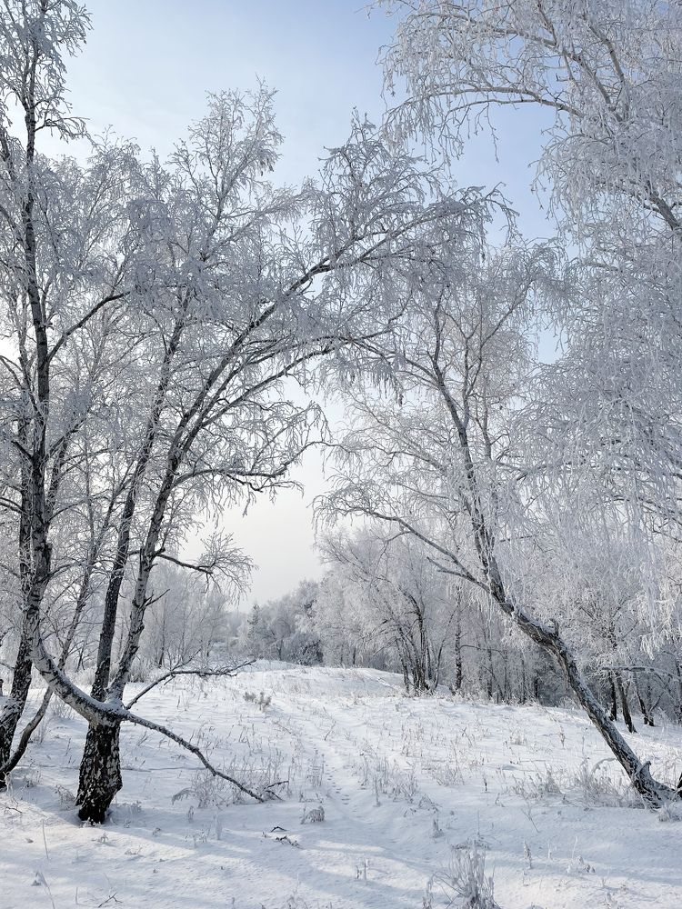 Photograph by Nadezda Yablokova