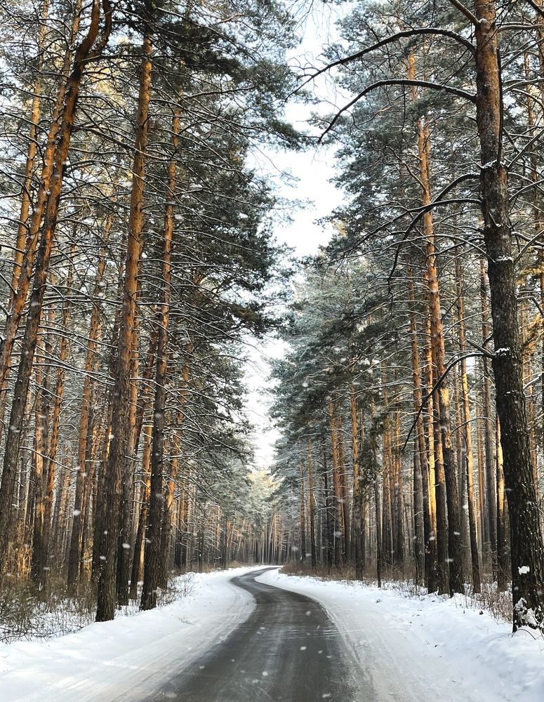 Photograph by Nadezda Yablokova