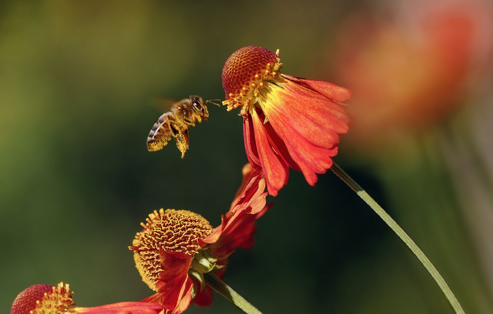 Трудовые будни