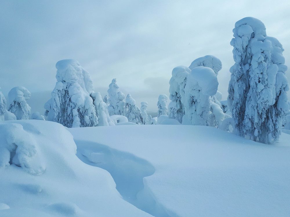 Photo #11783269