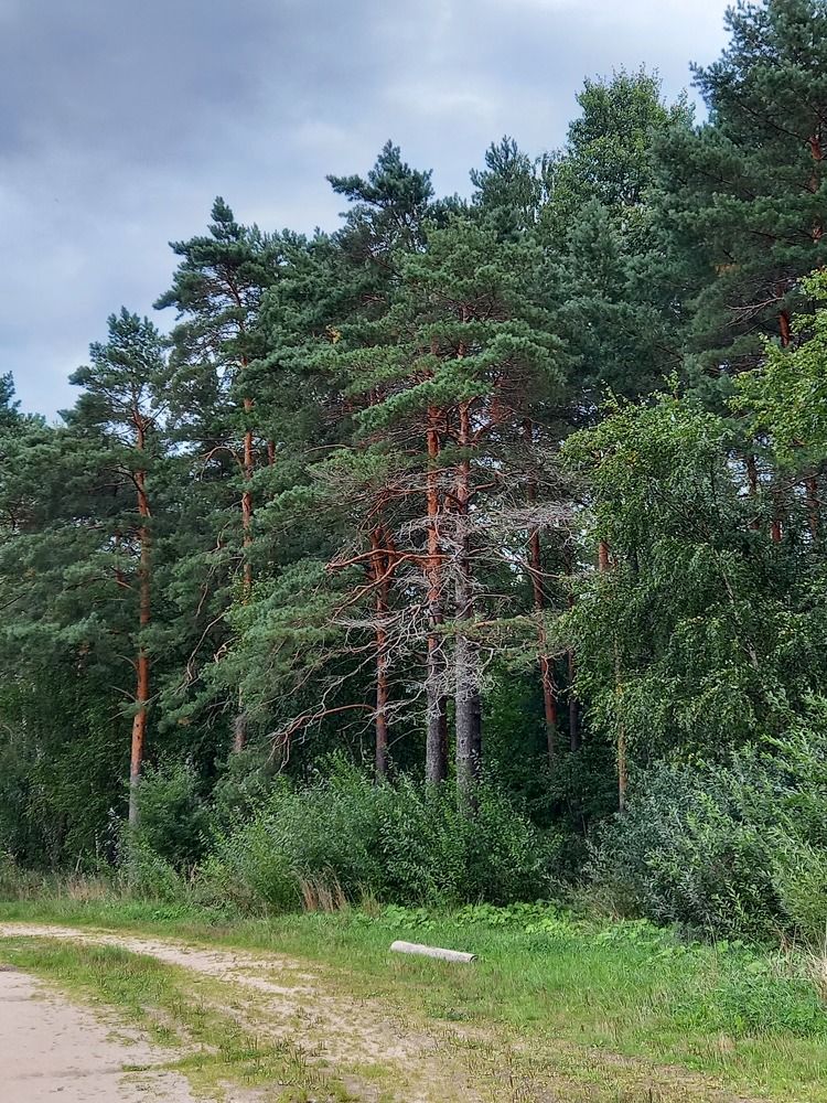 Photograph by Ольга Юрченко