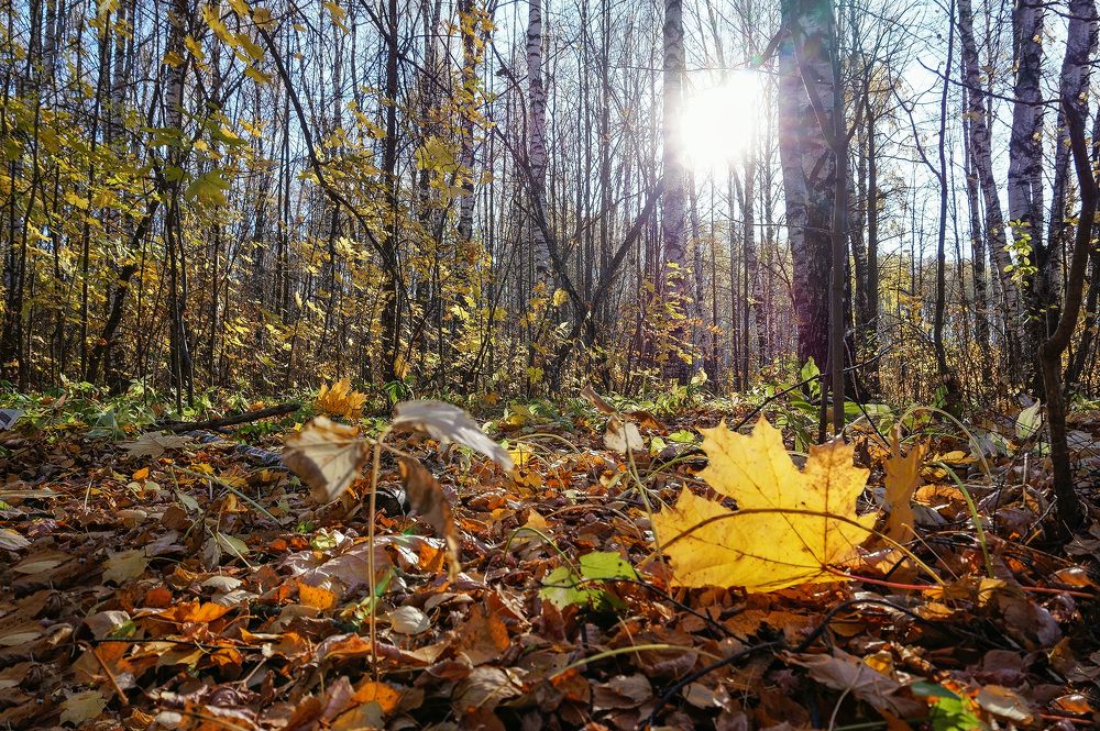 Photograph by Светлана Иванова