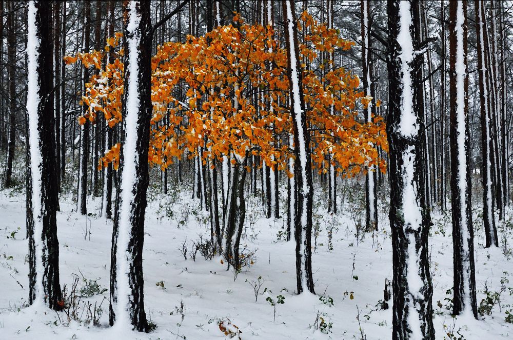 Photograph by Илфир Исламгазин