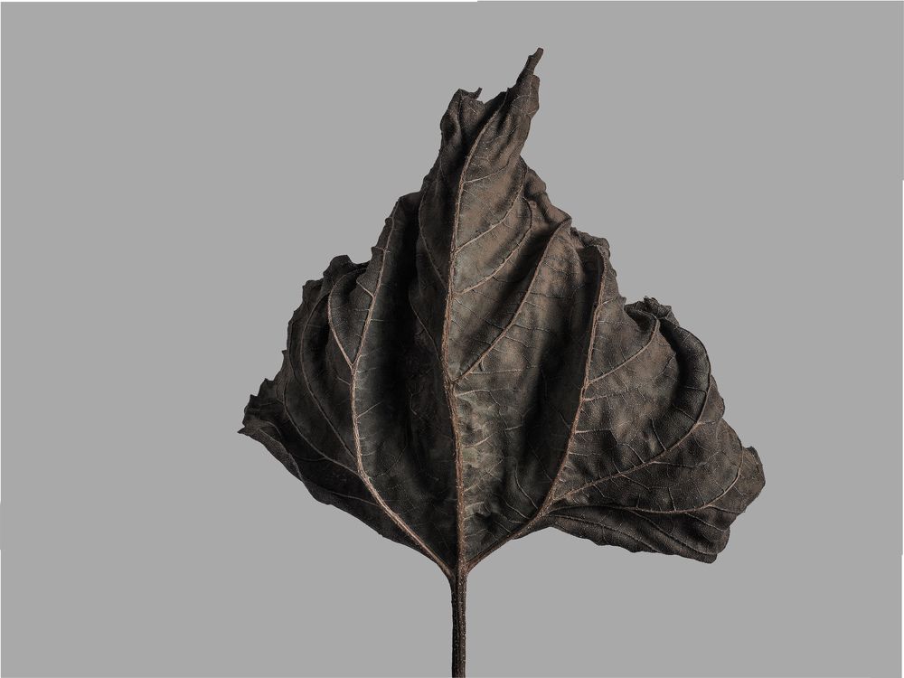 Photograph by Сергей Мартьяхин