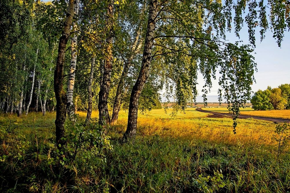 Photograph by Илфир Исламгазин