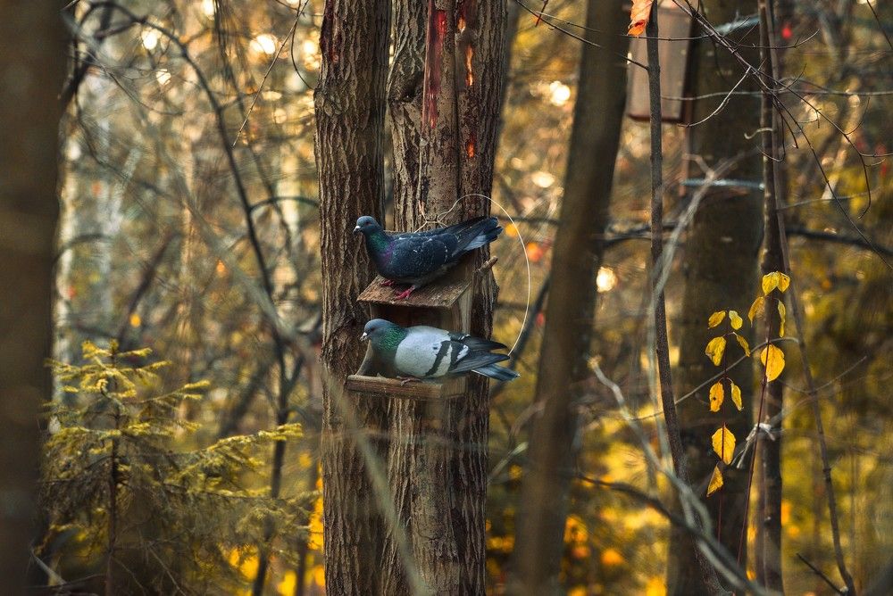 Photograph by Ксения Шилина