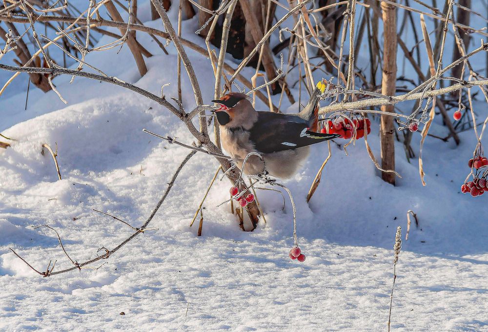 Photograph by Юрий Борик