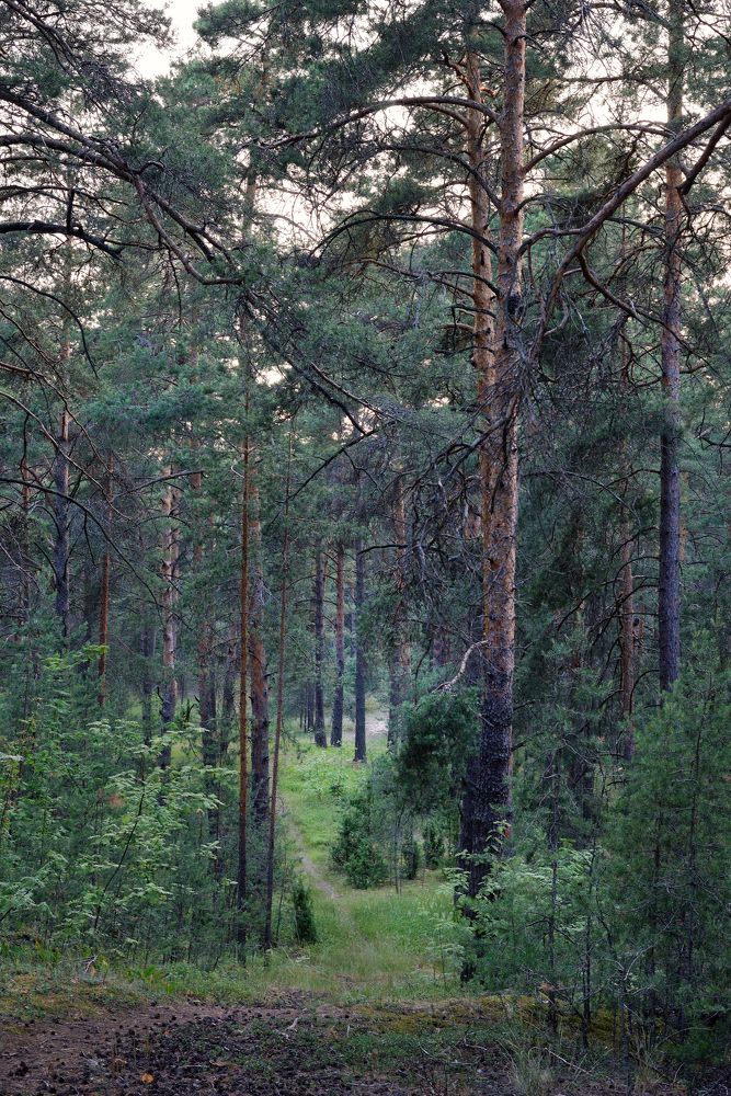 Photograph by Оксана Астрова