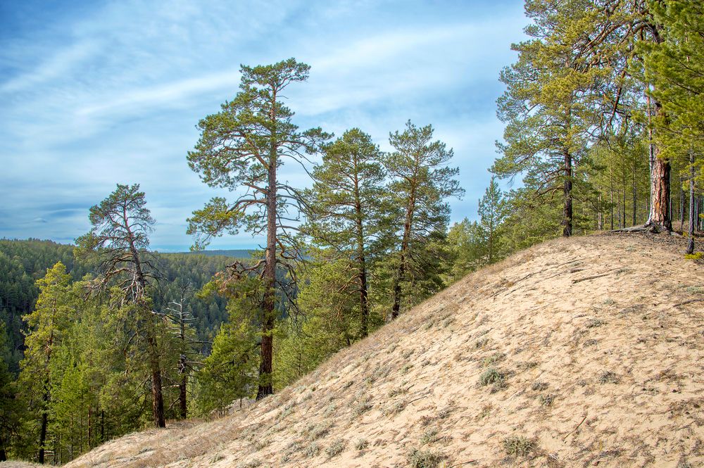 Photograph by Alexandr Myasnikov