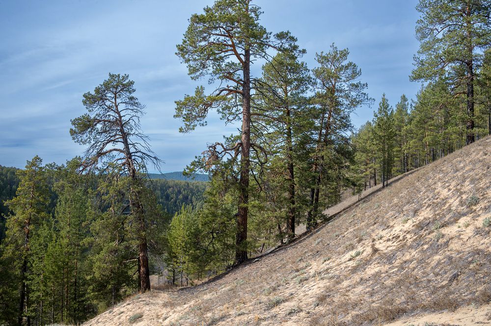 Photograph by Alexandr Myasnikov